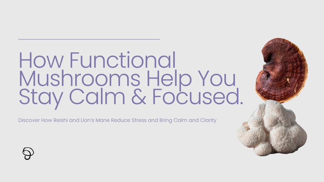 Header image with Lion’s Mane and Reishi mushrooms next to the headline ‘How Functional Mushrooms Help You Stay Calm & Focused’ — ideal for blog, Shopify, or social content on stress and focus.