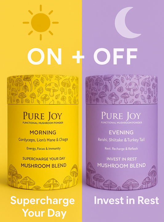 MORNING & EVENING STACK