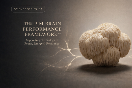 Lion’s Mane mushroom beside glowing neural pathways representing neuroplasticity and brain adaptation in Science Series 01 by PURE JOY Mushrooms.