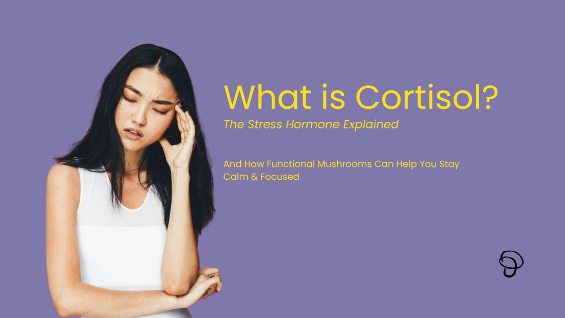 “Woman looking stressed beside text ‘What is Cortisol? The Stress Hormone Explained’.”