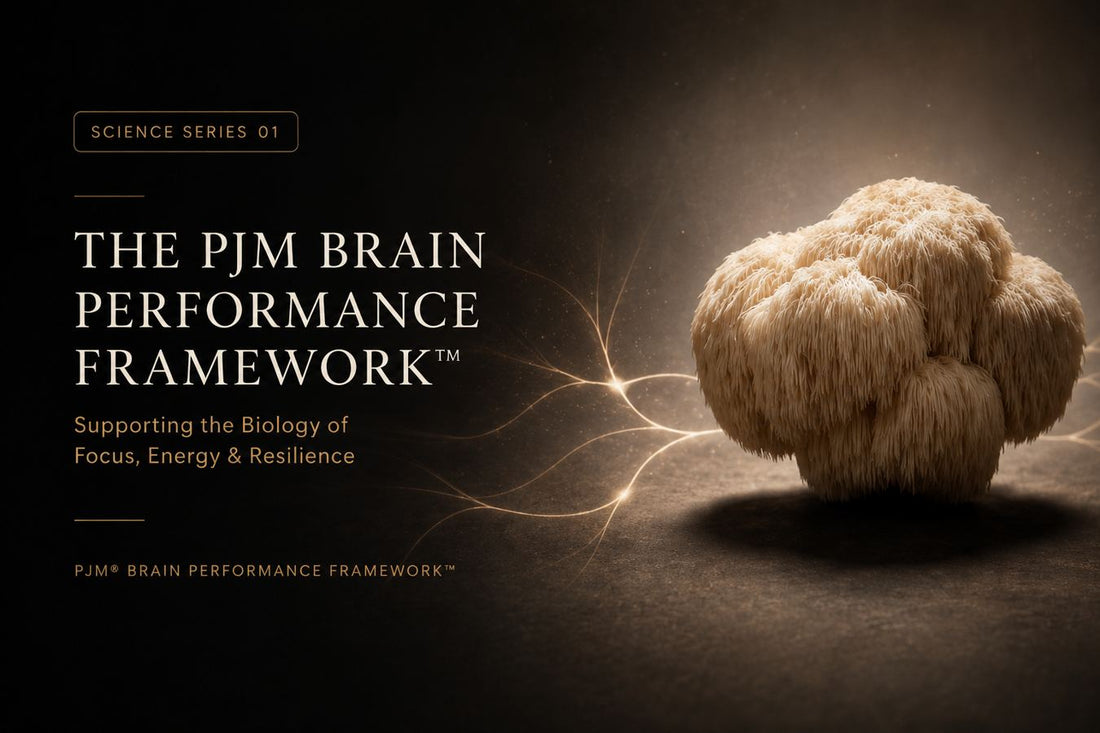 Science Series 01 hero banner featuring Lion’s Mane mushroom and neural network imagery, introducing the PJM Brain Performance Framework™ and the biological foundations of focus, energy and resilience.