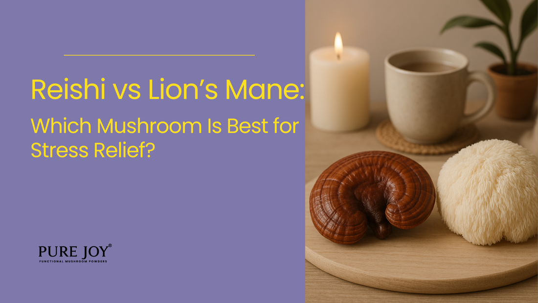 Reishi and Lion’s Mane mushrooms displayed with a lit candle, a cup of tea, and soft greenery for the blog ‘Reishi vs Lion’s Mane: Which Mushroom Is Best for Stress Relief?