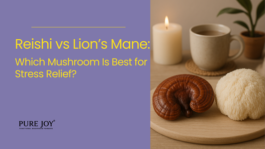 Reishi and Lion’s Mane mushrooms displayed with a lit candle, a cup of tea, and soft greenery for the blog ‘Reishi vs Lion’s Mane: Which Mushroom Is Best for Stress Relief?